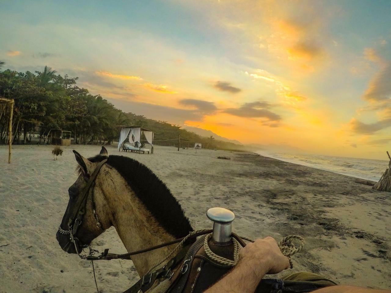Tay Beach Hotel Tayrona Buritaca Buitenkant foto